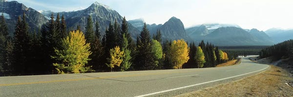 Alberta: Road Alberta Canada by Panoramic Images