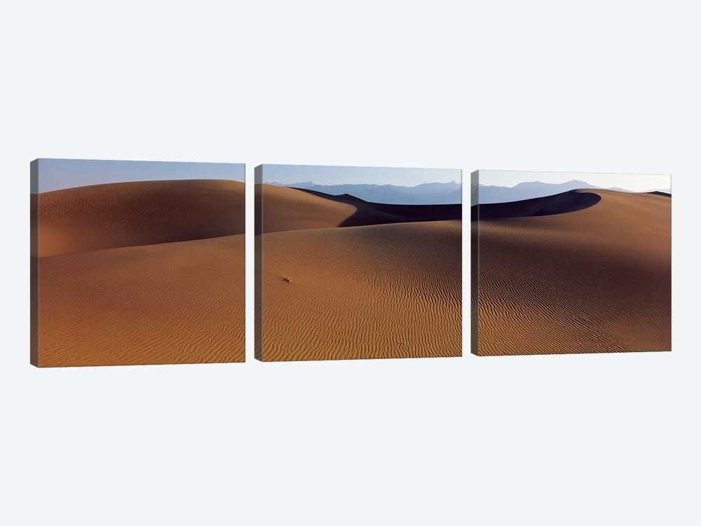 Desert Death Valley CA USA by Panoramic Images 3-piece Canvas Wall Art