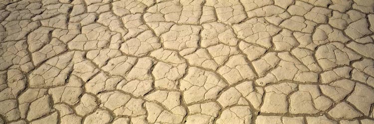 Dried Mud Death Valley CA USA by Panoramic Images wall art