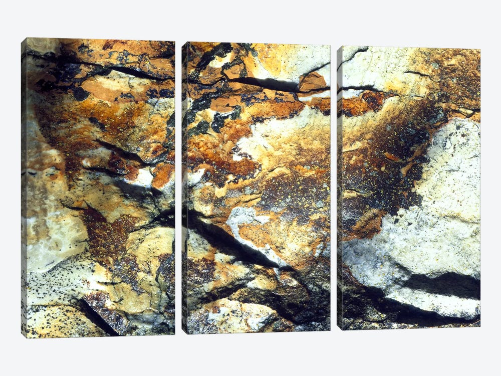 Rock Wasatch National Forest UT USA 3-piece Canvas Artwork