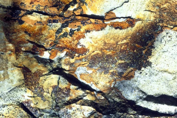 Utah: Rock Wasatch National Forest UT USA by Panoramic Images