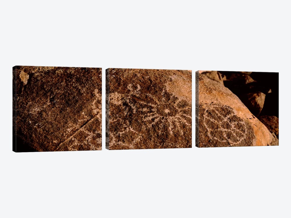 Close-up of petroglyphs on a rock, Saguaro National Park, Tucson, Arizona, USA by Panoramic Images 3-piece Canvas Wall Art