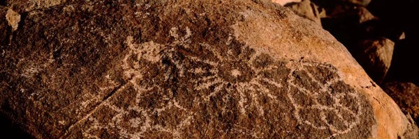 Tucson: Close-up of petroglyphs on a rock, Saguaro National Park, Tucson, Arizona, USA by Panoramic Images