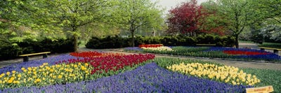 Keukenhof (Garden Of Europe), Lisse, South Holland, Netherlands by Panoramic Images multi panel art