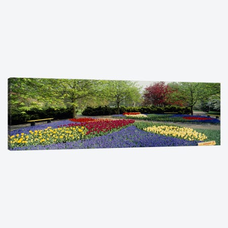 Keukenhof (Garden Of Europe), Lisse, South Holland, Netherlands Canvas Print #PIM2415} by Panoramic Images Canvas Print