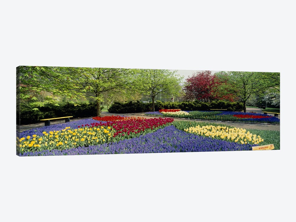 Keukenhof (Garden Of Europe), Lisse, South Holland, Netherlands by Panoramic Images 1-piece Canvas Print