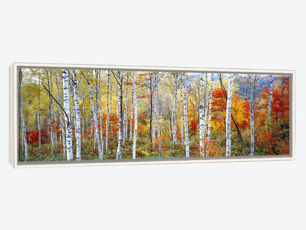 Framed Canvas Print - Distressed White Floating Frame - Medium - 36×12, 2