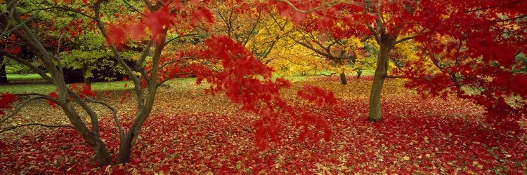 Westonburt Gloucestershire England