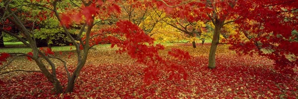 Westonburt Gloucestershire England
