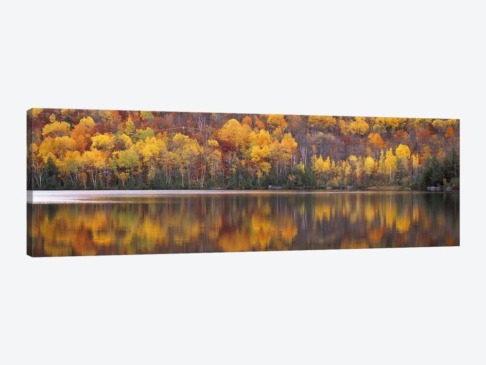 Laurentide Quebec Canada by Panoramic Images 1-piece Canvas Artwork