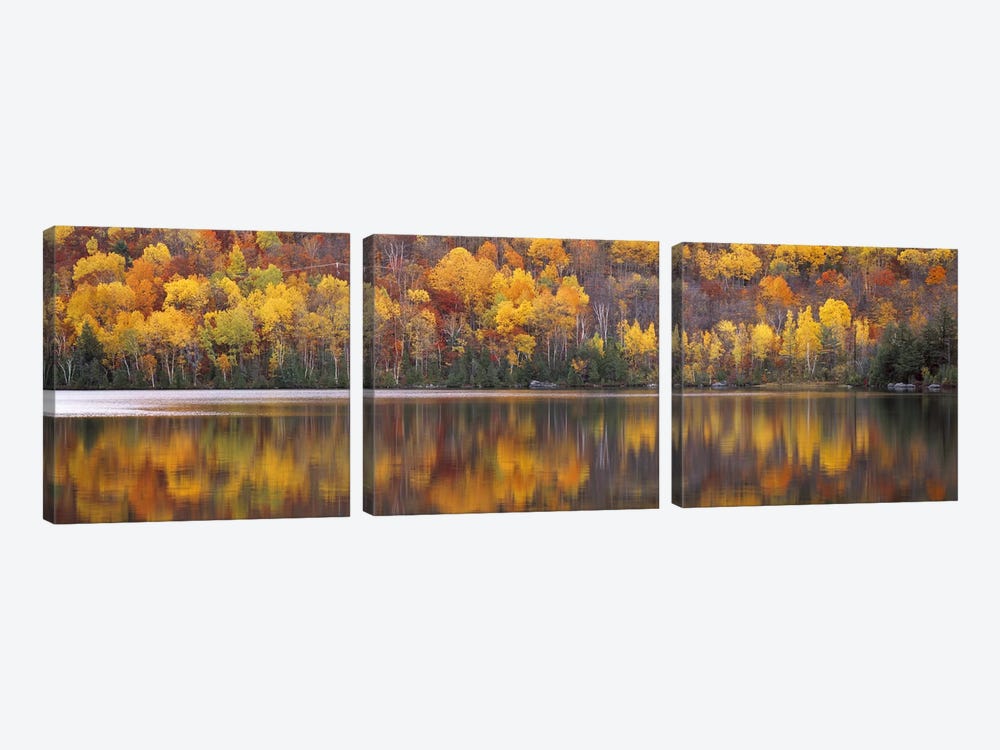Laurentide Quebec Canada by Panoramic Images 3-piece Canvas Artwork