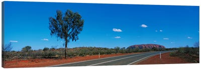 Road Ayers Rock Uluru-Kata Tjuta National Park Australia Canvas Art Print