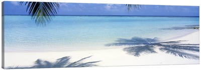 Laguna Maldives Canvas Art Print - Palm Tree Art