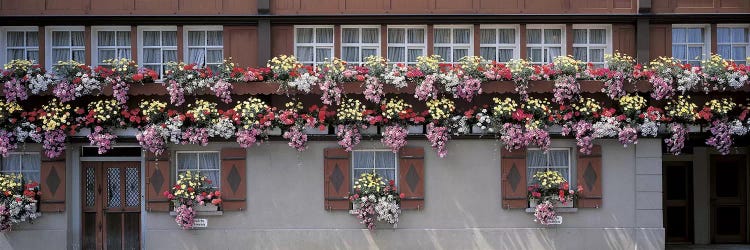 Appenzell Switzerland by Panoramic Images wall art