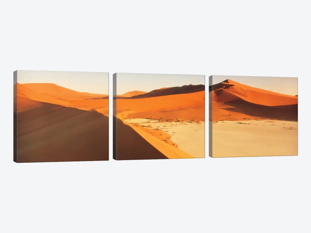 Desert Namibia by Panoramic Images 3-piece Canvas Wall Art