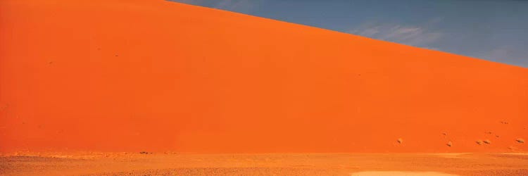 Single tree in desert Namibia