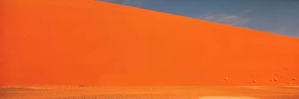 Single tree in desert Namibia