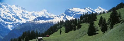 Murren Switzerland by Panoramic Images multi panel art