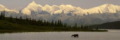 Denali National Park & Preserve