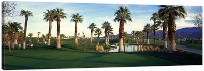 Desert Springs Golf Course, Palm Desert, Riverside County, California, USA Canvas Art Print - Palm Springs Art