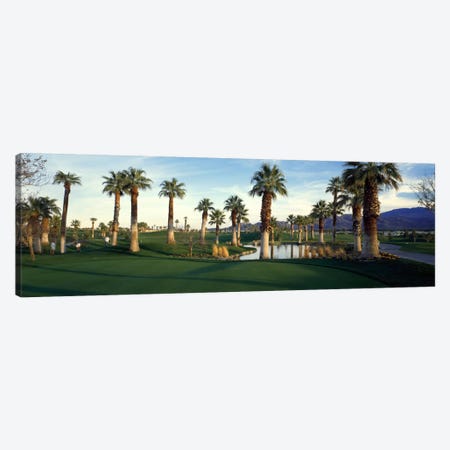 Desert Springs Golf Course, Palm Desert, Riverside County, California, USA Canvas Print #PIM24} by Panoramic Images Canvas Art Print