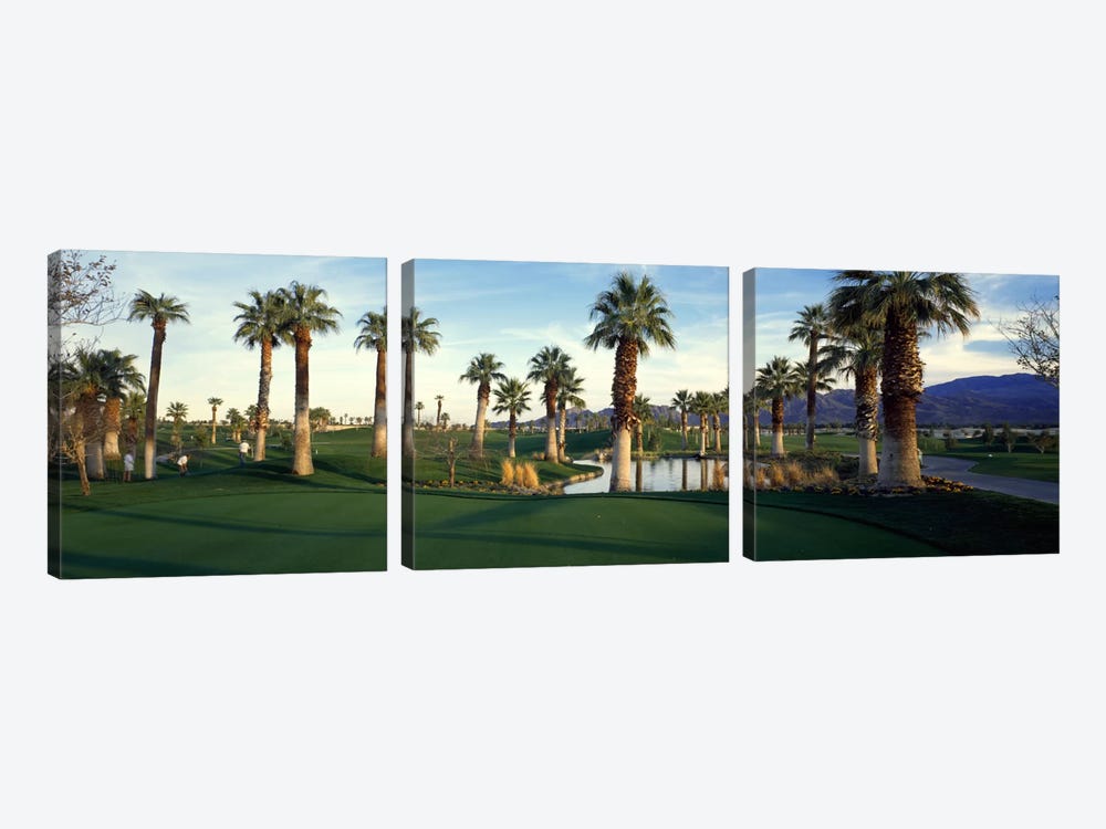 Desert Springs Golf Course, Palm Desert, Riverside County, California, USA by Panoramic Images 3-piece Canvas Wall Art