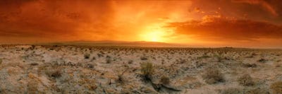 Desert Sunset, Palm Springs, Riverside County, California, USA by Panoramic Images framed canvas print