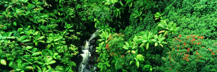 Aerial View Of A Hidden Cascading Stream, Big Island, Hawaii, USA