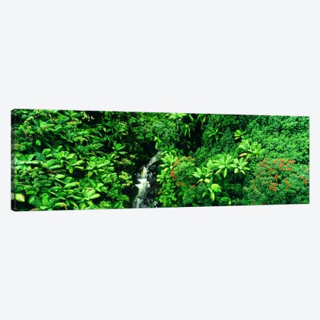 Aerial View Of A Hidden Cascading Stream, Big Island, Hawaii, USA Canvas Print #PIM2501} by Panoramic Images Canvas Wall Art