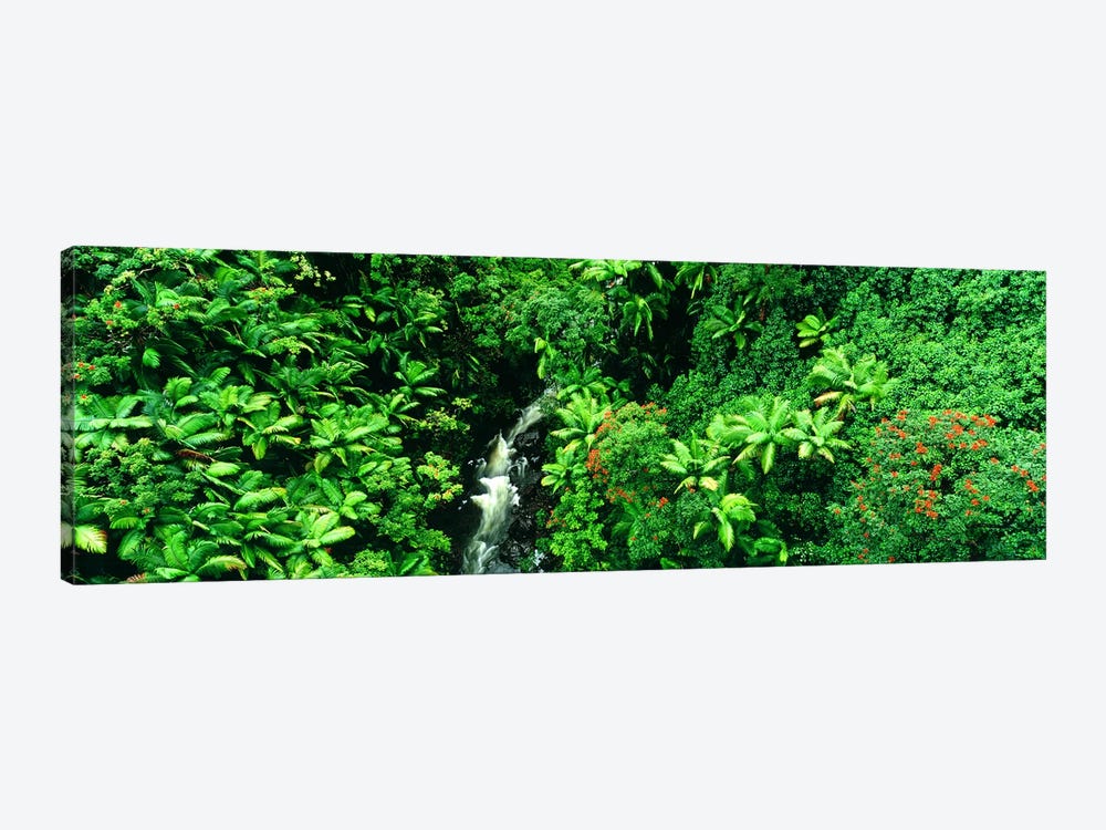 Aerial View Of A Hidden Cascading Stream, Big Island, Hawaii, USA by Panoramic Images 1-piece Canvas Print