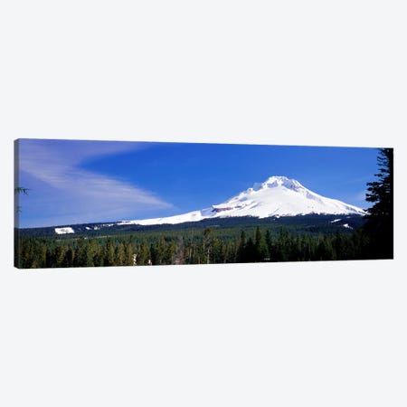 Mount Hood OR USA Canvas Print #PIM2502} by Panoramic Images Canvas Artwork