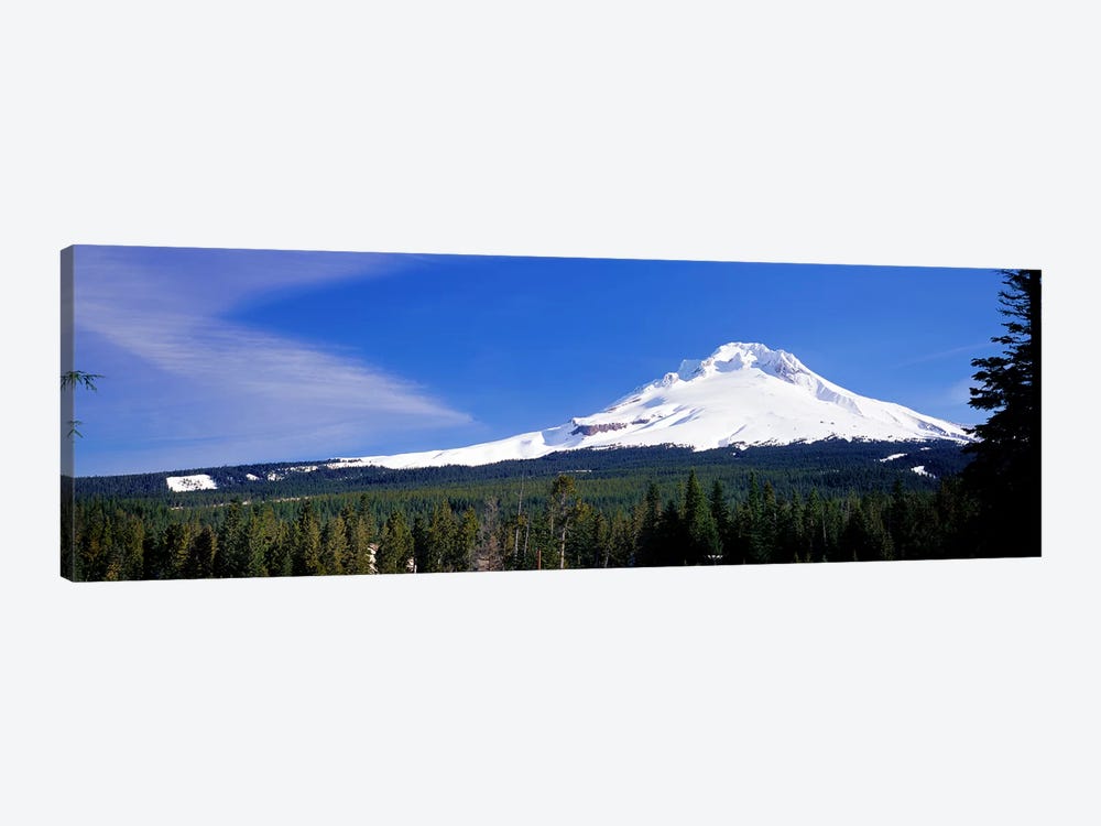 Mount Hood OR USA by Panoramic Images 1-piece Canvas Artwork