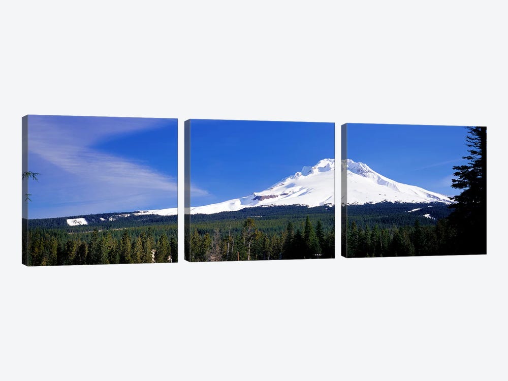 Mount Hood OR USA by Panoramic Images 3-piece Canvas Art