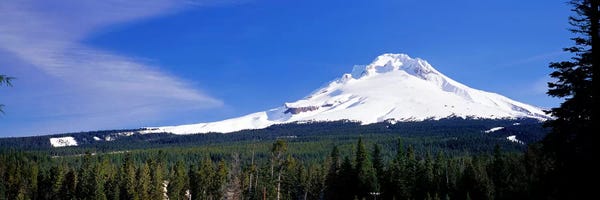 Cascade Range: Mount Hood OR USA by Panoramic Images
