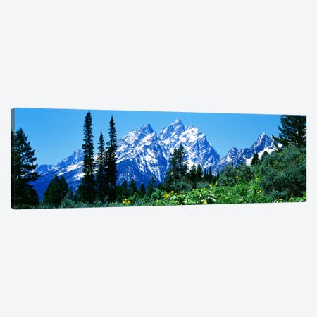 Grand Teton National Park WY USA Canvas Print #PIM2506} by Panoramic Images Art Print