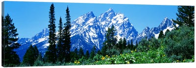 Grand Teton National Park WY USA Canvas Art Print - Rocky Mountain Art