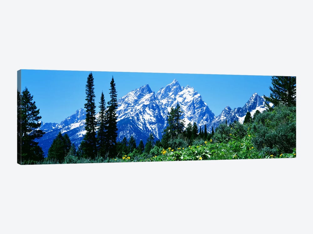 Grand Teton National Park WY USA by Panoramic Images 1-piece Canvas Artwork