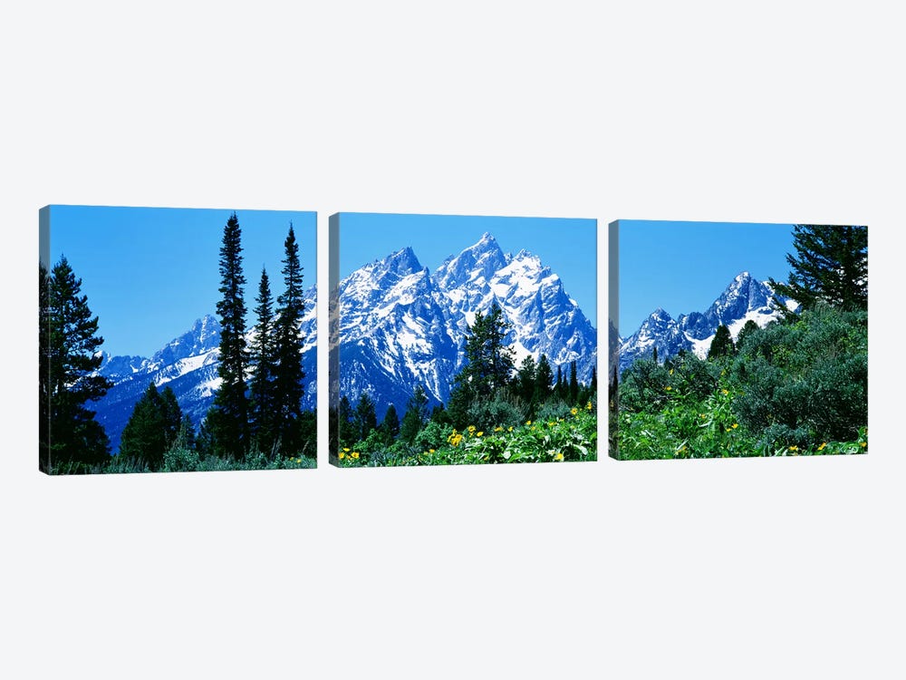 Grand Teton National Park WY USA by Panoramic Images 3-piece Canvas Artwork