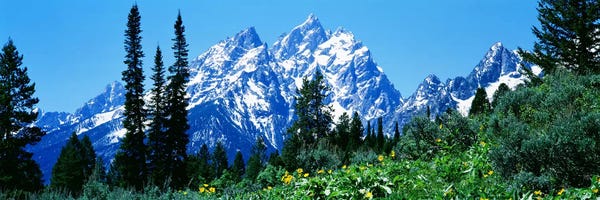 Wyoming: Grand Teton National Park WY USA II by Panoramic Images