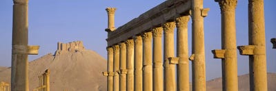 Low angle view of Great Colonnade, Palmyra, Syria by Panoramic Images canvas print