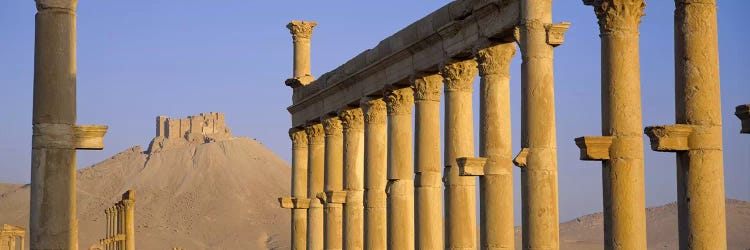 Low angle view of Great Colonnade, Palmyra, Syria