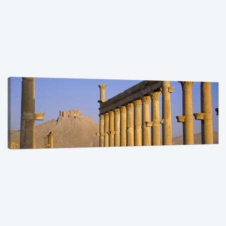 Low angle view of Great Colonnade, Palmyra, Syria Canvas Print #PIM2529} by Panoramic Images Canvas Wall Art