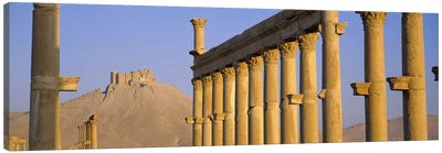 Low angle view of Great Colonnade, Palmyra, Syria Canvas Art Print - Castle & Palace Art