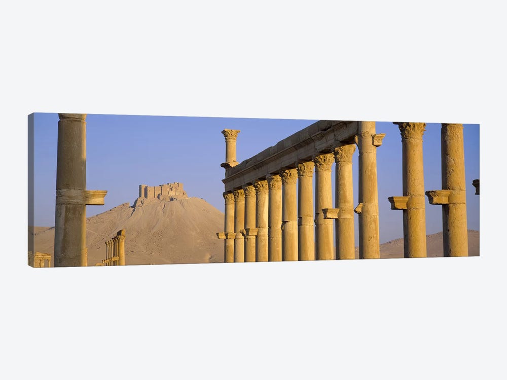 Low angle view of Great Colonnade, Palmyra, Syria by Panoramic Images 1-piece Canvas Art Print