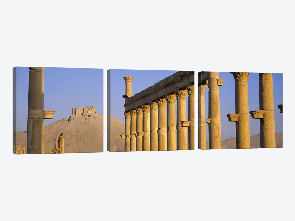 Low angle view of Great Colonnade, Palmyra, Syria by Panoramic Images 3-piece Art Print