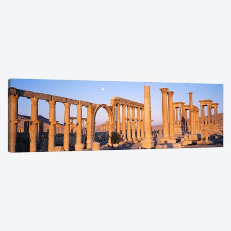 Ruins, Palmyra, Syria Canvas Print #PIM2531} by Panoramic Images Canvas Art Print