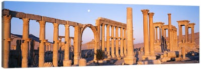 Ruins, Palmyra, Syria Canvas Art Print - Ancient Ruins Art