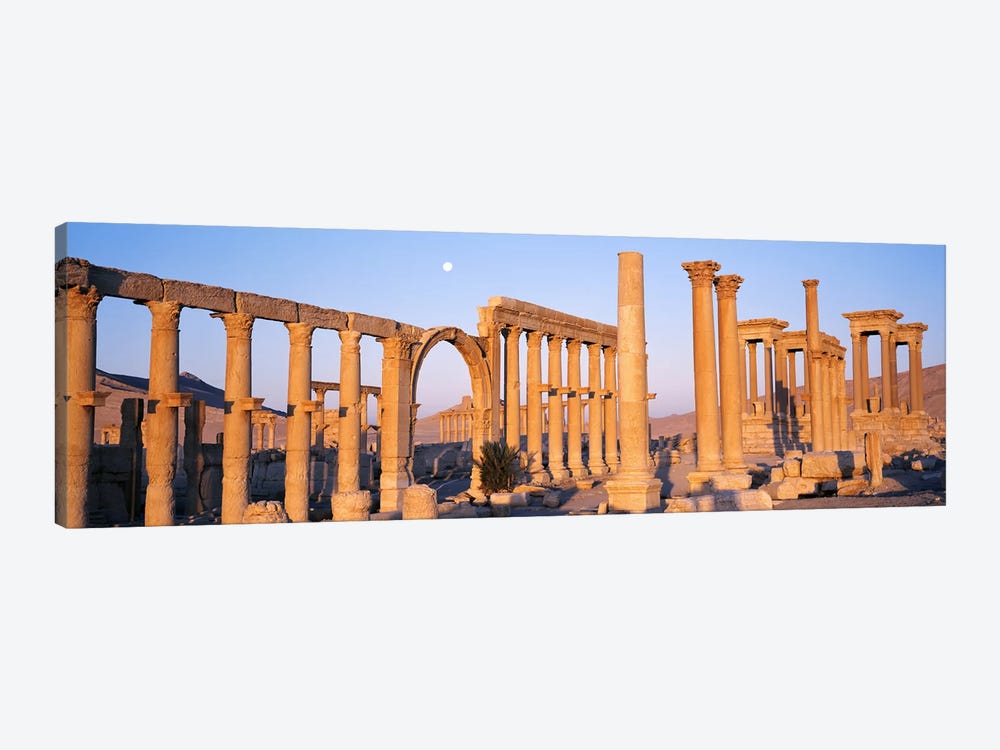 Ruins, Palmyra, Syria by Panoramic Images 1-piece Canvas Wall Art