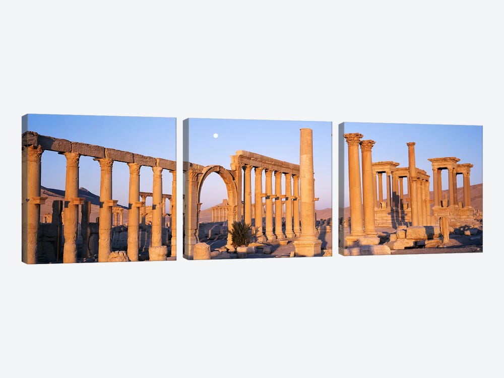 Ruins, Palmyra, Syria by Panoramic Images 3-piece Canvas Artwork