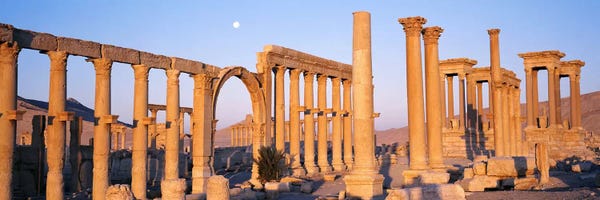 Ancient Ruins: Ruins, Palmyra, Syria by Panoramic Images